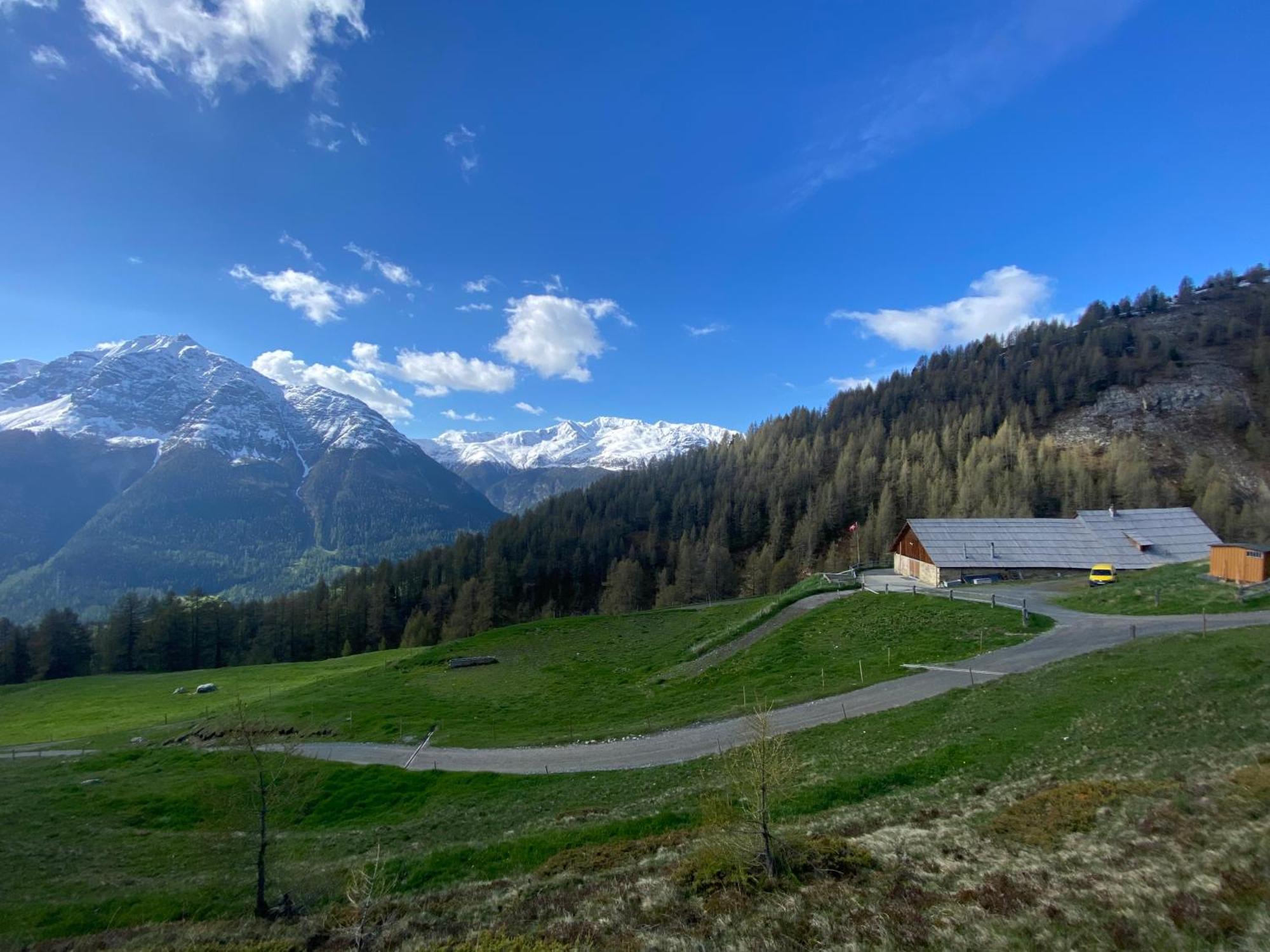 Alp Es-Cha Dadour Bed & Breakfast Madulain Exterior foto